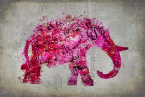 Illustration 'Elephant 5' Illustration 'Elephant 5'