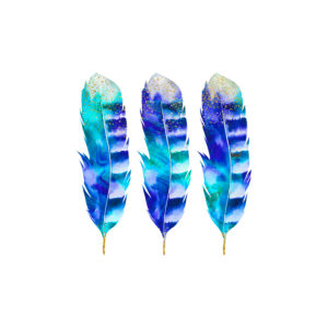 Illustration 'feathers blue' Illustration 'feathers blue'