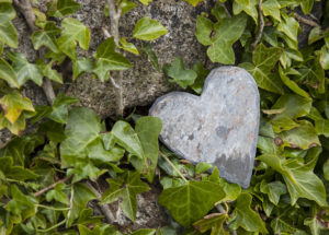 Wall with ivy, heart from stone, close up, still life Wall with ivy, heart from stone, close up, still life