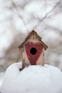 cute little bird ouse with heart shaped entry in the snow on a cold winter day cute little bird ouse with heart shaped entry in the snow on a cold winter day