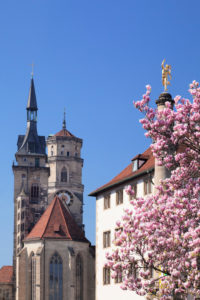 Alte Kanzlei und Stiftskirche mit Magnolienbaum, Stuttgart, Baden-Württemberg, Deutschland Alte Kanzlei und Stiftskirche mit Magnolienbaum, Stuttgart, Baden-Württemberg, Deutschland
