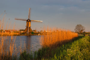 Windmills in the evening light Kinderdijk Benelux, Benelux countries South Holland, Zuid-Holland Netherlands, Nederland Windmills in the evening light Kinderdijk Benelux, Benelux countries South Holland, Zuid-Holland Netherlands, Nederland