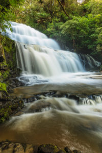 Parakaunui Falls, Catlins, Otago, South Island, New Zealand, Oceania Parakaunui Falls, Catlins, Otago, South Island, New Zealand, Oceania