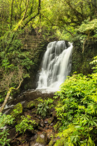 Horseshoe Falls, Matai Stream, Matai Falls Walk, The Catlins, Otago, South Island, New Zealand, Oceania Horseshoe Falls, Matai Stream, Matai Falls Walk, The Catlins, Otago, South Island, New Zealand, Oceania