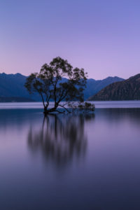 Lake Wanaka zur blauen Stunde, Mount-Aspiring Nationalpark, UNESCO Weltnaturerbe, Otago, Südinsel, Neuseeland, Ozeanien Lake Wanaka zur blauen Stunde, Mount-Aspiring Nationalpark, UNESCO Weltnaturerbe, Otago, Südinsel, Neuseeland, Ozeanien