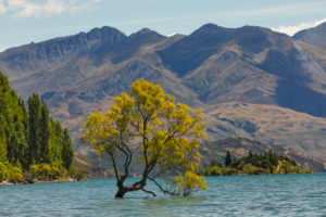 Lake Wanaka, Mount Aspiring National Park, UNESCO World Heritage Site, Otago, South Island, New Zealand, Oceania Lake Wanaka, Mount Aspiring National Park, UNESCO World Heritage Site, Otago, South Island, New Zealand, Oceania