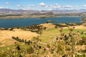 View over Lake Wanaka from Roy's Peak Track, Otago, South Island, New Zealand, Oceania View over Lake Wanaka from Roy's Peak Track, Otago, South Island, New Zealand, Oceania