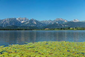 Hopfensee, Hopfen am See, Tannheimer Berge, Ostallgäu, Allgäu, Schwaben, Oberbayern, Deutschland Hopfensee, Hopfen am See, Tannheimer Berge, Ostallgäu, Allgäu, Schwaben, Oberbayern, Deutschland