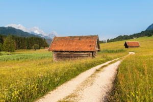 Weg durch Blumenwiesen am Geroldsee, Oberbayern, Bayern, Deutschland Weg durch Blumenwiesen am Geroldsee, Oberbayern, Bayern, Deutschland