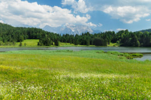 Blumenwiesen am Geroldsee gegen Karwendelgebirge, Oberbayern, Bayern, Deutschland Blumenwiesen am Geroldsee gegen Karwendelgebirge, Oberbayern, Bayern, Deutschland