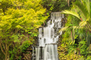 Wasserfall im Pukekura Park, New Plymouth, Taranaki, Nordinsel, Neuseeland Wasserfall im Pukekura Park, New Plymouth, Taranaki, Nordinsel, Neuseeland