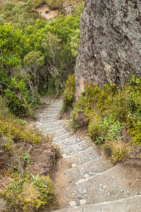 Wanderweg zu den Taranaki Falls, Tongariro-NationalparkNordinsel, Neuseeland, North Island, Ozeanien Wanderweg zu den Taranaki Falls, Tongariro-NationalparkNordinsel, Neuseeland, North Island, Ozeanien