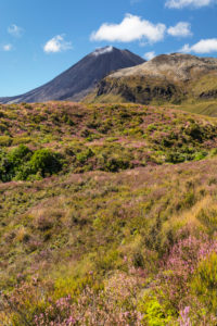 Mount Ngauruhoe, Tongariro-Nationalpark, UNESCO Weltnaturerbe; Nordinsel, Neuseeland, Ozeanien Mount Ngauruhoe, Tongariro-Nationalpark, UNESCO Weltnaturerbe; Nordinsel, Neuseeland, Ozeanien