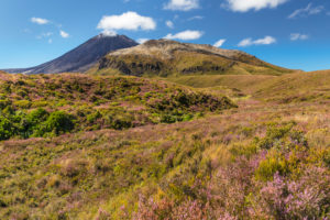 Mount Ngauruhoe, Tongariro-Nationalpark, UNESCO Weltnaturerbe; Nordinsel, Neuseeland, Ozeanien Mount Ngauruhoe, Tongariro-Nationalpark, UNESCO Weltnaturerbe; Nordinsel, Neuseeland, Ozeanien