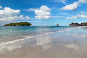 Hahei Beach, Coromandel Peninsula, Waikatu, Nordinsel, Neuseeland, Hahei Beach, Coromandel Peninsula, Waikatu, Nordinsel, Neuseeland,