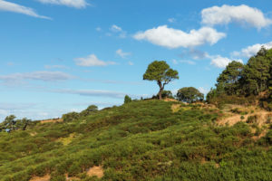 Coromandel Peninsula, Waikatu, Nordinsel, Neuseeland, Coromandel Peninsula, Waikatu, Nordinsel, Neuseeland,