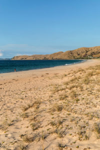 Otama Beach, nahe Whitianga Village, Coromandel Peninsula, Waitako, Nordinsel, Neuseeland, Ozeanien, Whitianga Otama Beach, nahe Whitianga Village, Coromandel Peninsula, Waitako, Nordinsel, Neuseeland, Ozeanien, Whitianga