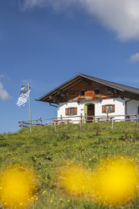 Piesenhauser Hochalm in den Chiemgauer Alpen, Marquartstein, Chiemgau, Oberbayern, Süddeutschland, Deutschland, Europa Piesenhauser Hochalm in den Chiemgauer Alpen, Marquartstein, Chiemgau, Oberbayern, Süddeutschland, Deutschland, Europa
