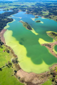 Luftaufnahme von den Osterseen, Iffeldorf, Oberbayern, Bayern, Süddeutschland, Deutschland, Europa Luftaufnahme von den Osterseen, Iffeldorf, Oberbayern, Bayern, Süddeutschland, Deutschland, Europa