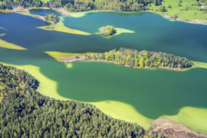 Luftaufnahme von den Osterseen, Iffeldorf, Oberbayern, Bayern, Süddeutschland, Deutschland, Europa Luftaufnahme von den Osterseen, Iffeldorf, Oberbayern, Bayern, Süddeutschland, Deutschland, Europa