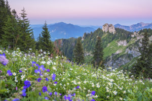 Blick vom Laber zum Ettaler Manndl (1636 m), Ammergauer Alpen, Oberammergau, Oberbayern, Bayern, Süddeutschland, Deutschland, Europa Blick vom Laber zum Ettaler Manndl (1636 m), Ammergauer Alpen, Oberammergau, Oberbayern, Bayern, Süddeutschland, Deutschland, Europa