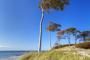 An der Ostsee am Weststrand, Prerow, Fischland-Darß-Zingst, Mecklenburg-Vorpommern, Deutschland, Europa An der Ostsee am Weststrand, Prerow, Fischland-Darß-Zingst, Mecklenburg-Vorpommern, Deutschland, Europa