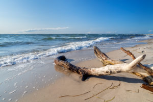 An der Ostsee am Weststrand, Prerow, Fischland-Darß-Zingst, Mecklenburg-Vorpommern, Deutschland, Europa An der Ostsee am Weststrand, Prerow, Fischland-Darß-Zingst, Mecklenburg-Vorpommern, Deutschland, Europa