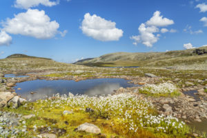 See an der Norwegischen Landschaftsroute Aurlandsvegen durchs Aurlandsfjellet, Aurlandsvangen, Sogn og Fjordane, Norwegen See an der Norwegischen Landschaftsroute Aurlandsvegen durchs Aurlandsfjellet, Aurlandsvangen, Sogn og Fjordane, Norwegen