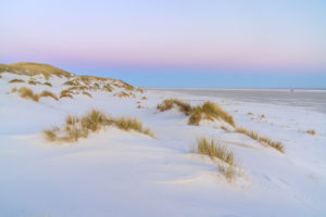 Dünen am Strand auf der Insel Amrum, Nebel, Nordfriesische Inseln, Schleswig-Holstein, Norddeutschland, Deutschland, Europa Dünen am Strand auf der Insel Amrum, Nebel, Nordfriesische Inseln, Schleswig-Holstein, Norddeutschland, Deutschland, Europa