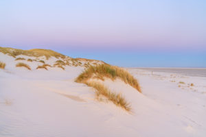 Dünen am Strand auf der Insel Amrum, Nebel, Nordfriesische Inseln, Schleswig-Holstein, Norddeutschland, Deutschland, Europa Dünen am Strand auf der Insel Amrum, Nebel, Nordfriesische Inseln, Schleswig-Holstein, Norddeutschland, Deutschland, Europa