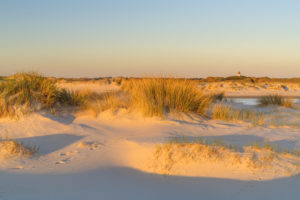 Dünen auf der Insel Amrum, Norddorf, Nordfriesische Inseln, Schleswig-Holstein, Norddeutschland, Deutschland, Europa Dünen auf der Insel Amrum, Norddorf, Nordfriesische Inseln, Schleswig-Holstein, Norddeutschland, Deutschland, Europa