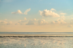 Morning on the Wadden Sea near Morsum, Sylt Island, Schleswig-Holstein, Germany