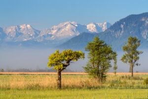 View over the Murnauer Moos to the Alpspitze (2628m) and the Wetterstein Mountains, Murnau, Upper Bavaria, Germany