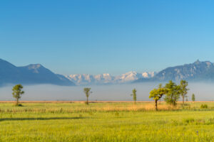 View over the Murnauer Moos to the Bavarian Alps, Murnau, Upper Bavaria, Germany