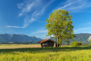 Hut in Murnauer Moos with view of the Bavarian Alps, Murnau, Upper Bavaria, Germany