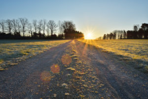 Gravel path at sunrise in spring, Gottersdorf, Neckar-Odenwald-District, Odenwald, Baden Wurttemberg, Germany Gravel path at sunrise in spring, Gottersdorf, Neckar-Odenwald-District, Odenwald, Baden Wurttemberg, Germany