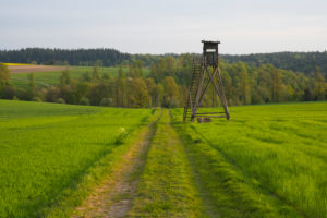 Feldweg, Feld, Jägerstand, Morgen, Frühling, Vielbrunn, Michelstadt, Odenwald, Hessen, Deutschland Feldweg, Feld, Jägerstand, Morgen, Frühling, Vielbrunn, Michelstadt, Odenwald, Hessen, Deutschland