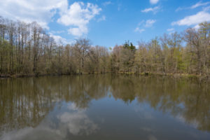See, Frühling, Rohtenbachteich, Grebenhain, Vogelsberg, Hessen, Deutschland See, Frühling, Rohtenbachteich, Grebenhain, Vogelsberg, Hessen, Deutschland