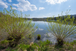 Lake, pastures, spring, Rohtenbachteich, Grebenhain, Vogelsberg, Hesse, Germany Lake, pastures, spring, Rohtenbachteich, Grebenhain, Vogelsberg, Hesse, Germany