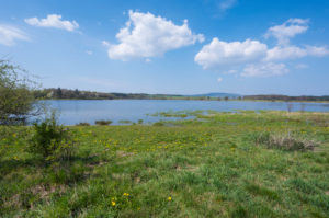 Lake, spring, Ober-Mooser See, Freiensteinau, Vogelsberg, Hesse, Germany Lake, spring, Ober-Mooser See, Freiensteinau, Vogelsberg, Hesse, Germany