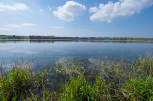Lake, spring, Ober-Mooser See, Freiensteinau, Vogelsberg, Hesse, Germany Lake, spring, Ober-Mooser See, Freiensteinau, Vogelsberg, Hesse, Germany