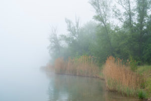 See, Nebel, Morgen, Frühling, Niedernberg, Churfranken, Unter Main, Bayern, Deutschland See, Nebel, Morgen, Frühling, Niedernberg, Churfranken, Unter Main, Bayern, Deutschland