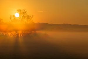 Landscape, meadow, tree, fog, sunrise, spring, landscape protection area, In Russia and in the cow pasture, Limeshain, Wetterau, Hesse, Germany Landscape, meadow, tree, fog, sunrise, spring, landscape protection area, In Russia and in the cow pasture, Limeshain, Wetterau, Hesse, Germany