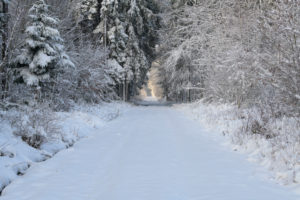 Path, forest, winter, Odenwald, Baden-Württemberg, Germany Path, forest, winter, Odenwald, Baden-Württemberg, Germany
