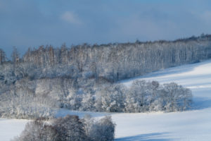 Landscape, forest, winter, Gottersdorf, Odenwald, Baden-Württemberg, Germany Landscape, forest, winter, Gottersdorf, Odenwald, Baden-Württemberg, Germany