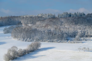 Landscape, forest, winter, Gottersdorf, Odenwald, Baden-Württemberg, Germany Landscape, forest, winter, Gottersdorf, Odenwald, Baden-Württemberg, Germany