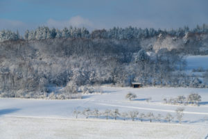 Landscape, forest, winter, Gottersdorf, Odenwald, Baden-Württemberg, Germany Landscape, forest, winter, Gottersdorf, Odenwald, Baden-Württemberg, Germany