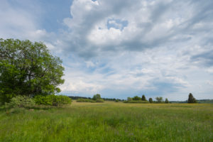 Landscape, meadow, spring, Lange Rhön, Rhön, Bavaria, Germany Landscape, meadow, spring, Lange Rhön, Rhön, Bavaria, Germany