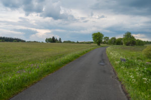 Road, meadow, spring, Lange Rhön, Rhön, Bavaria, Germany Road, meadow, spring, Lange Rhön, Rhön, Bavaria, Germany