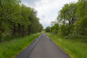 Straße, Wald, Frühling, Lange Rhön, Rhön, Bayern, Deutschland Straße, Wald, Frühling, Lange Rhön, Rhön, Bayern, Deutschland
